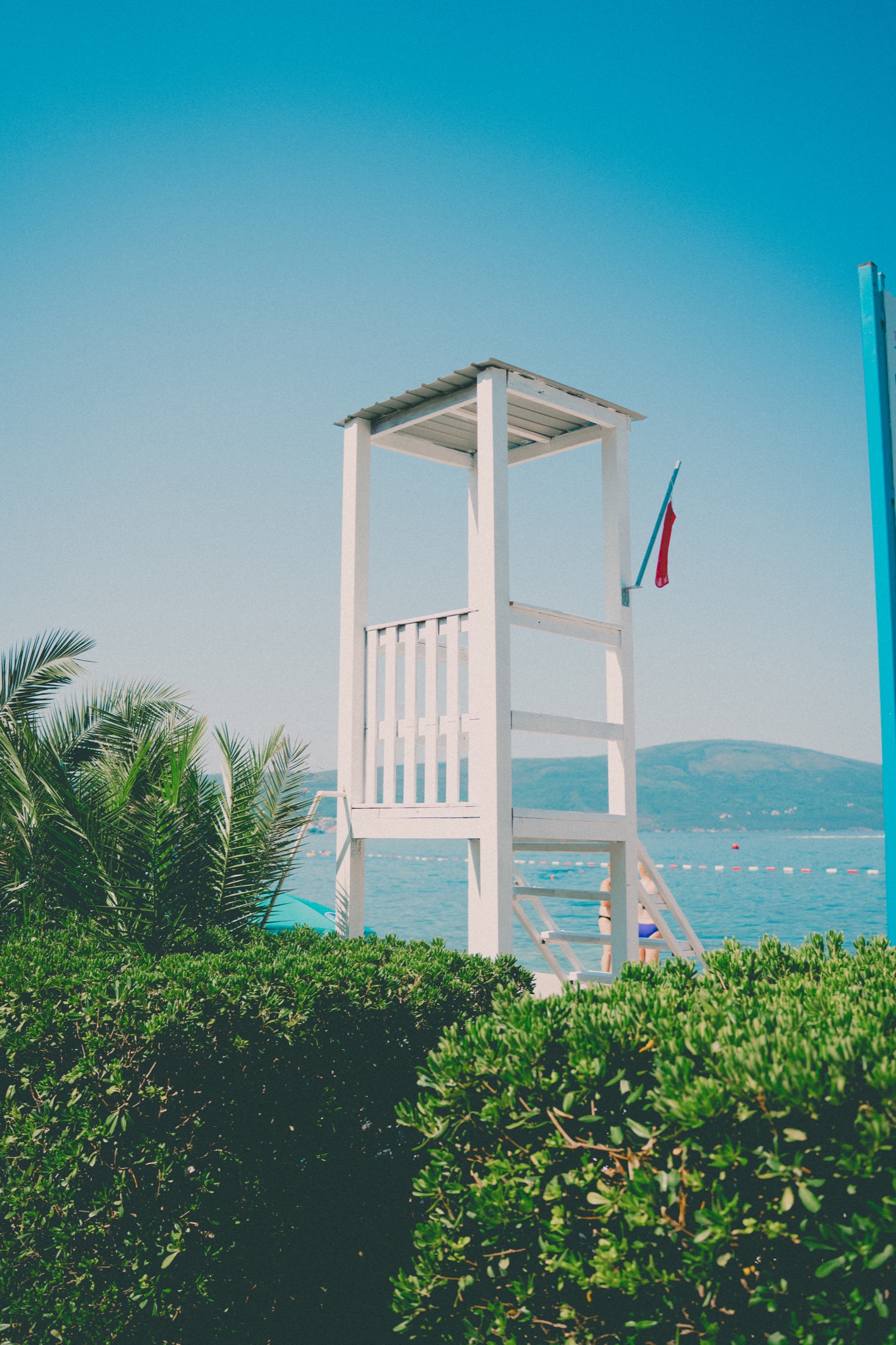 White lifeguard chair framed by palms and blue sky